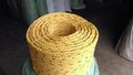 PP Dunline Rope