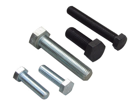SS Hex Bolt
