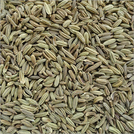 Fennel Seeds