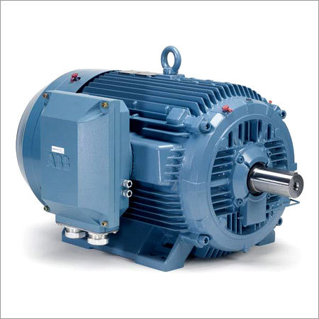 Low Voltage Induction Motor