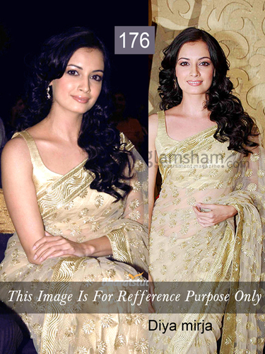 exclusive designer saree