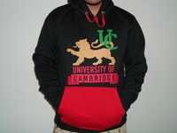 Boys Sweat Shirt