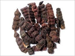 Nagarmotha - Dried Roots, Dark Brown | Aromatherapy, Ayurvedic Uses, Cures Cough, Aids Fever, Skin Benefits, Quality Assured