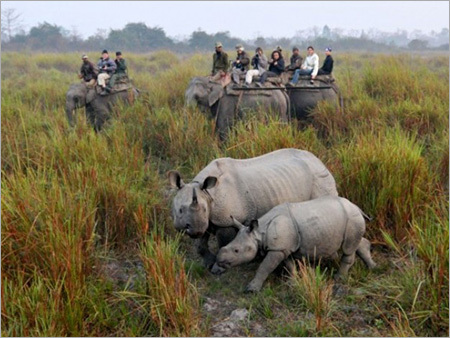 9 Days Temple Panaroma Jungle Tour 9 Days Temple Panaroma Jungle Tour