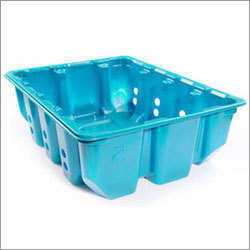 Designer Blister HIPS Tray