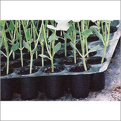 Agricultural Tray