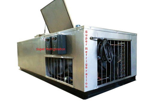 Working Model of Ice Candy Plant