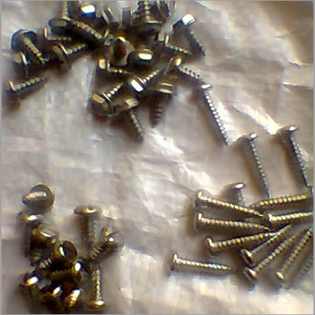 SS Screw