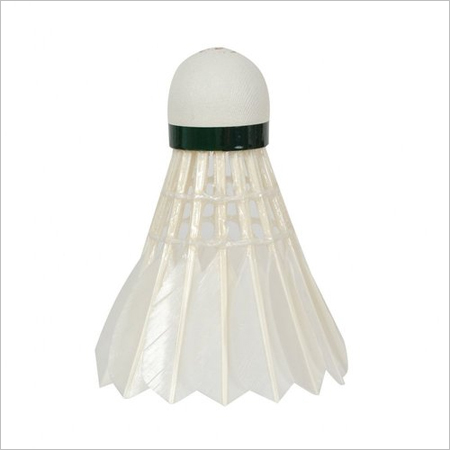 Badminton Sports