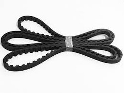 Continuous Belt