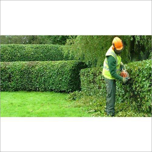 Horticultural Services By SPD INTERNATIONAL INFRATECH PVT. LTD.