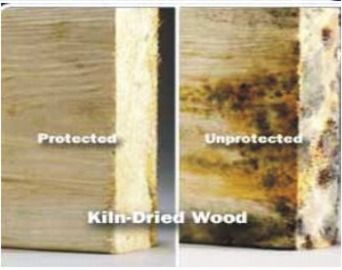 Wood Guard Hardness: Soft