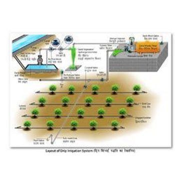 Drip Irrigation System