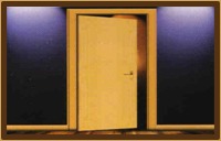 Flush Door