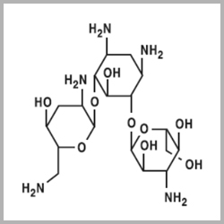 Sterile Tobramycine Sulphate USP