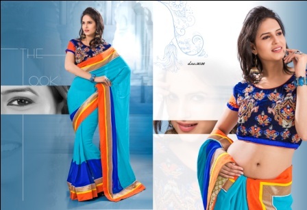 Embroidery Sarees