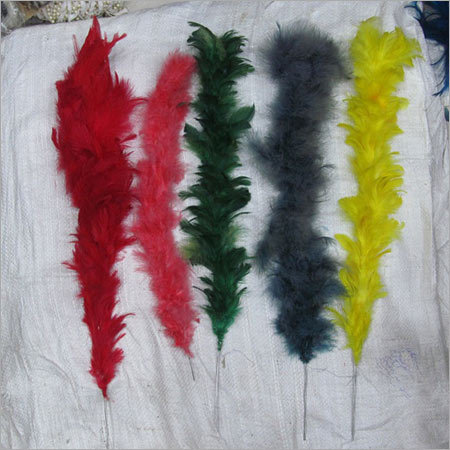 Dream Catcher