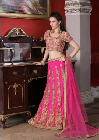 Stylish Lehenga Choli