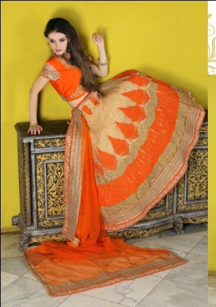 Heavy Embroidered Lehenga