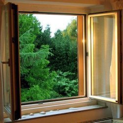 Pollution Free Windows