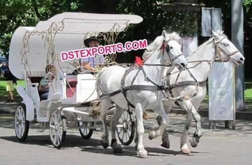 Horse Carriages Manufacturer