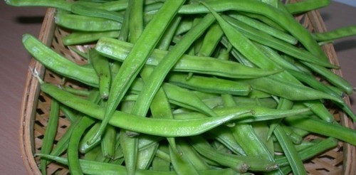 Cluster Beans