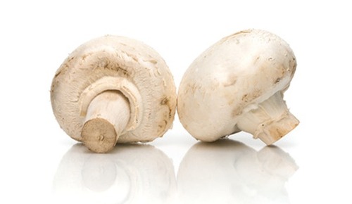 Fresh Mushroom
