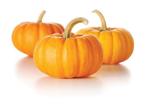 Pumpkin
