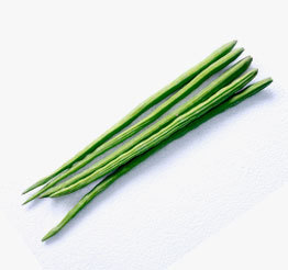 Drumstick