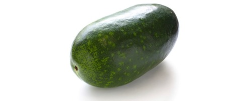 Ash Gourd