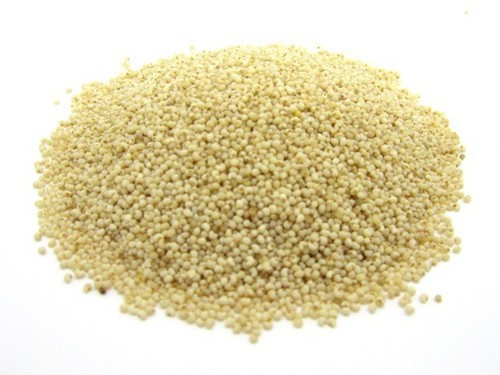 Poppy Seeds