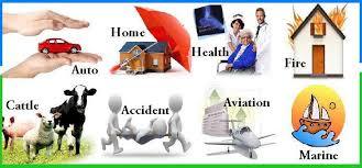 General Insurance