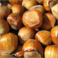 Hazel Nuts