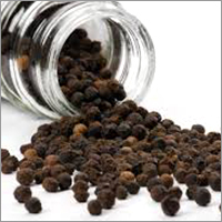 Black Pepper