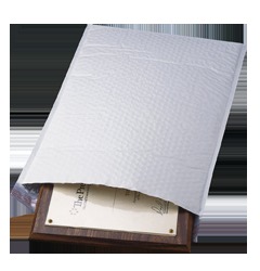 Tamper Proof Plastic Bag