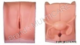 Contraception Guidance Model