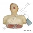 Basic CPR Manikin ( Half Body) with Monitor