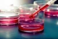 MICROBIOLOGICAL TESTING