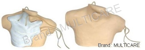 Central Venous Catheterization Simulator