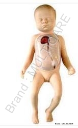 Advanced Neonatal Peripheral and Central Vein Incubation