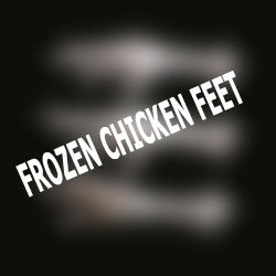 Frozen Chicken Meat