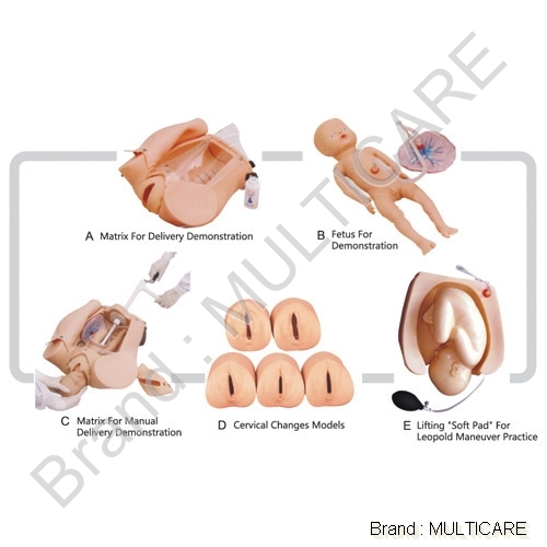 Advanced Abdominal Palpation and Delivery Mechanism