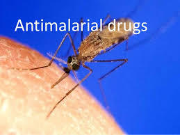 Anti Malarial Drugs