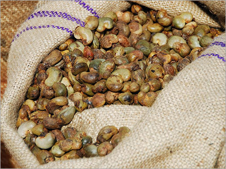 Fresh Raw Cashew