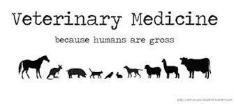 Veterinary Drugs