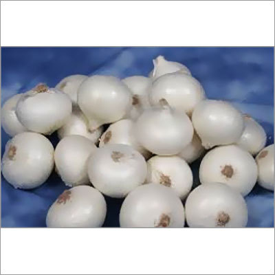 White Onion