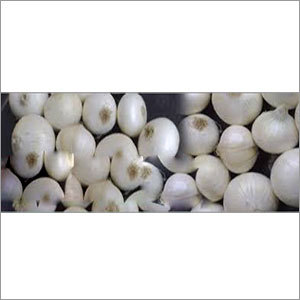 Fresh White Onion