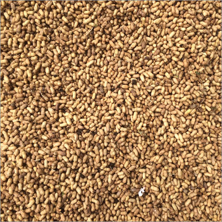 Groundnuts