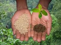 Fertilizer Soil Testing Services