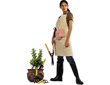 Hedge Shear